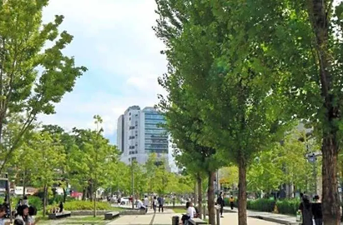 Brown Sinchon 3* Seul