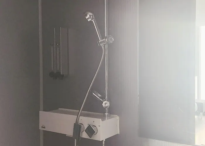 Hotel Brown Sinchon 3*